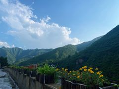 -灵溪风景区
