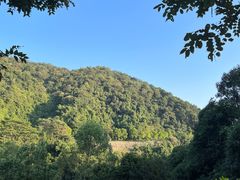 -火炉山森林公园