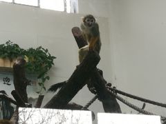 -西安秦岭野生动物园