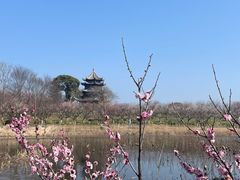 -上海海湾国家森林公园