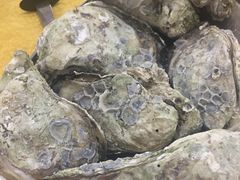 -蚝专家(北滘店)