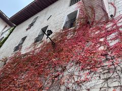 -华谊兄弟（长沙）电影小镇