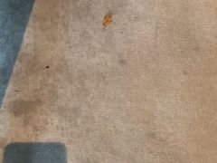 -南京凯铂精品酒店