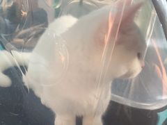 -宠颐生宠物医院外科·内科·皮肤科·影像科(石龙店)