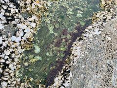 -连岛景区大沙湾