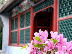 -海棠花溪(元大都城垣遗址公园)