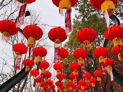 -武汉园博园(武汉自然博物馆)