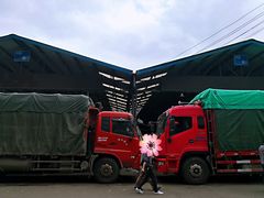 -菜园坝水果市场