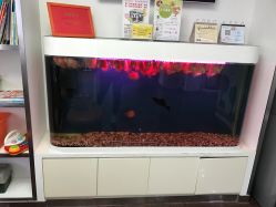 -圣瑞医疗上海圣恩儿科门诊部