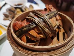 -裕龙汤泉