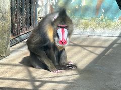 -宁波野生动物园