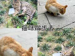 -龙华寺