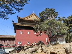 -大清花饺子(山庄店)