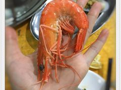 -蚝专家(北滘店)