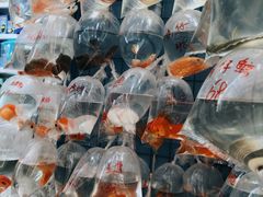 -翠华餐厅(旺角文华商场店)