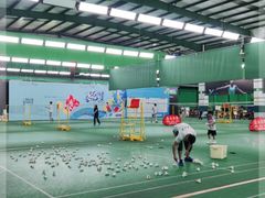 -东坡羽毛球馆(东坡南一路店)