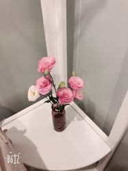 -苑苑vbeauty科技美容SPA