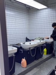 -藤野造型