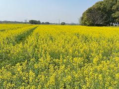 -梁鸿国家湿地公园