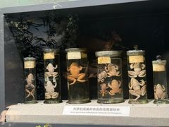 -四川大学博物馆