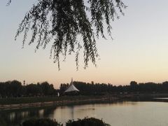 -丁香湖公园