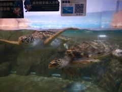 -福州罗源湾海洋世界旅游区