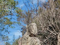 -大嶝英雄三岛战地观光园