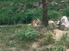 -杭州野生动物世界