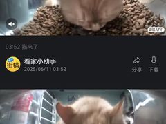 -悦宠凯宝动物医院·牙科·皮肤科(朝阳北路店)