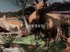 -深圳博物馆