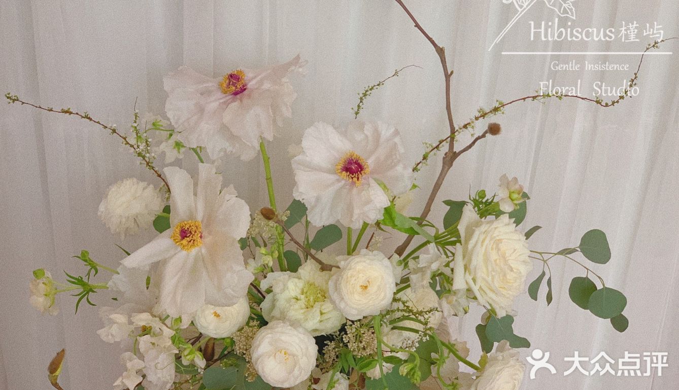 单瓣牡丹开花啦～