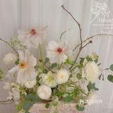 单瓣牡丹开花啦～