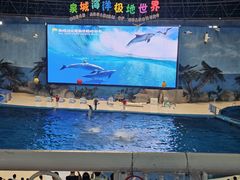 -泉城欧乐堡海洋极地世界