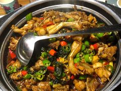 青椒紫苏锅-蛙小侠(珠海华发商都店)