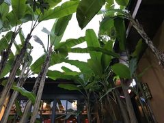 -铜锣湾·有麝自然香(重庆新天地店)