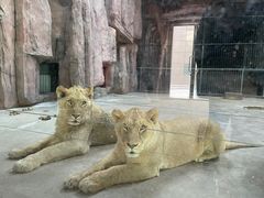 -鄂尔多斯野生动物园