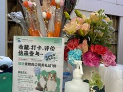 -中国农业大学动物医院