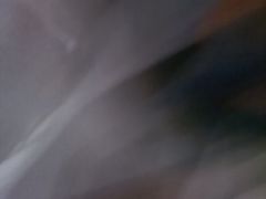 -一大糕点(纬六路店)