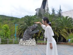 -世界恐龙谷景区
