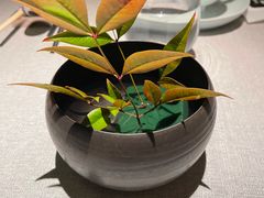 -逸道(益丰·外滩源店)