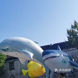 荡口古镇免费了