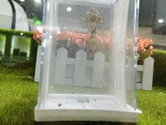 -上海昆虫博物馆