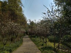 -重庆彩云湖湿地公园