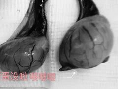 -佳雯宠物医院(金华南路分院)