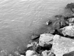 -小梅沙海滨乐园