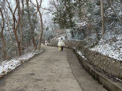 -紫金山山顶公园