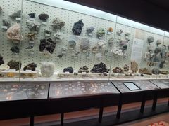 -浙江自然博物院(杭州馆)