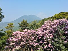 -梧桐山风景名胜区