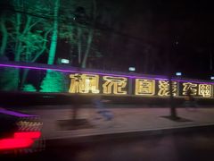 -枫花园汽车电影院(朝阳公园店)