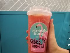-Flamingo Bloom(TST /尖沙咀店)